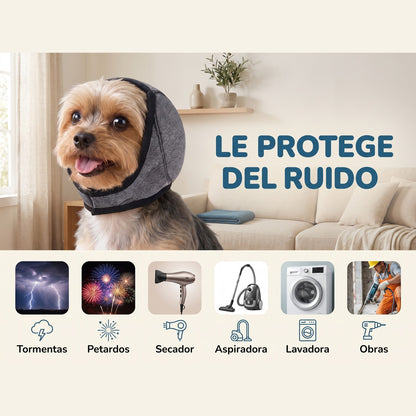 Orejeras antirruido que calman a tu perro